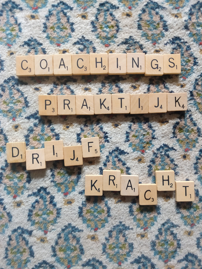 loopbaancoach coachingspraktijk Drijfkracht